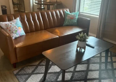 Respected Home Cleaning Services